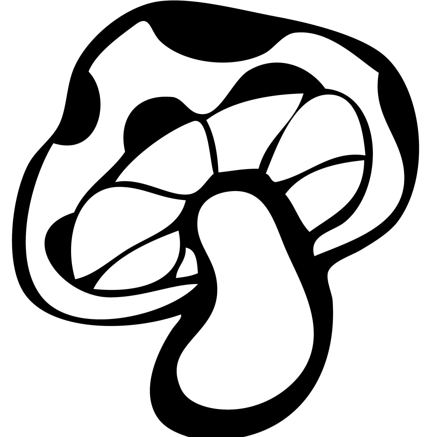 AMIYA